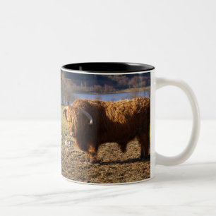 Tasse 2 Couleurs Highland Cattle Bull, Écosse