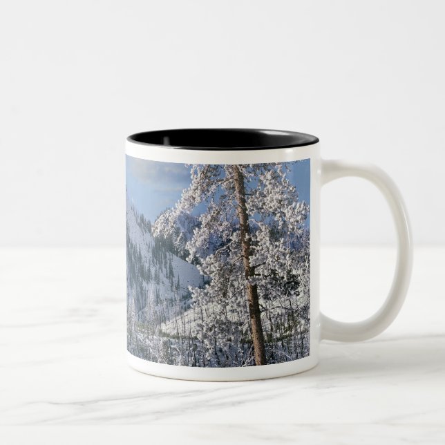 Tasse 2 Couleurs Hiver dans le parc national de Yellowstone, Wyomin (Droit)