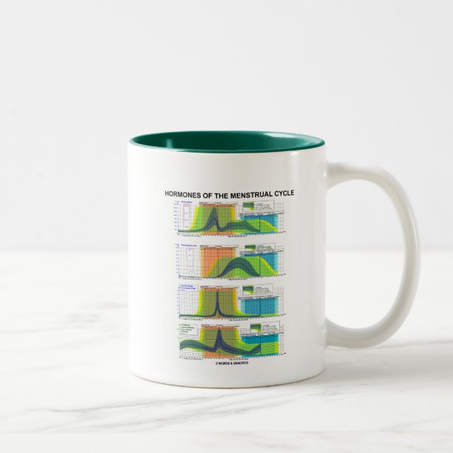 Tasse 2 Couleurs Hormones du cycle menstruel (menstruation) (Droit)
