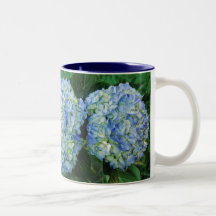 Hortensia