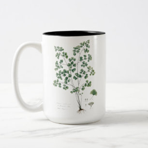 Tasse 2 Couleurs Illustration botanique de la fougère capillaire vi