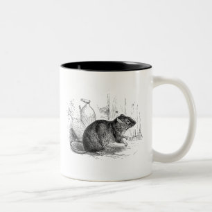 Tasse 2 Couleurs Illustration Brown de rats de rat de grange de