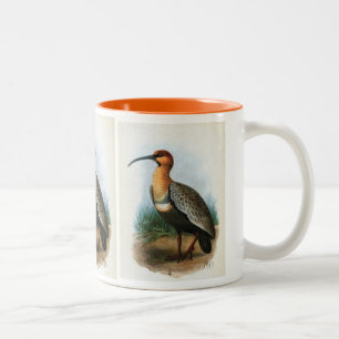 Tasse 2 Couleurs illustration Noir-faite face de cru d'IBIS