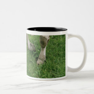 Tasse 2 Couleurs ima28991