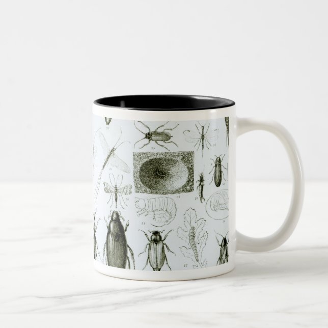 Tasse 2 Couleurs Insectes d'entomologie (Droit)