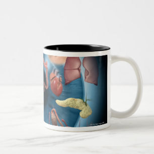 Tasse 2 Couleurs Iridology