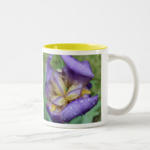 Tasse 2 Couleurs Iris Violet (Iris Germanica)