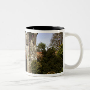 Tasse 2 Couleurs Irlande, le jardin clos du château de Dromoland