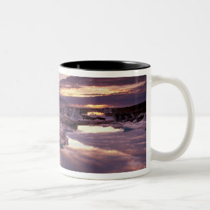 Tasse 2 Couleurs Islande, lagon de Jokulsarlon, Paysage
