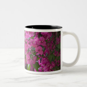Tasse 2 Couleurs Italie, Sicile, Cefalu, Cour intérieure fleurie pa