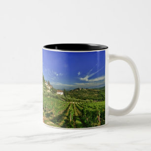 Tasse 2 Couleurs Italie, Toscane, Greve. Les vignobles de Castello