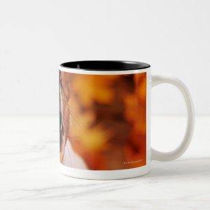 Tasse 2 Couleurs Jack Russell Terrier écorçant et sautant, automne