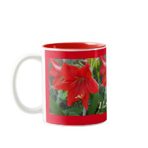 J'aime la Coupe des Fleurs Amaryllis