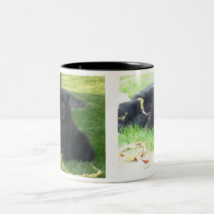 Tasse 2 Couleurs J'aime mon noir de bouffes et de café