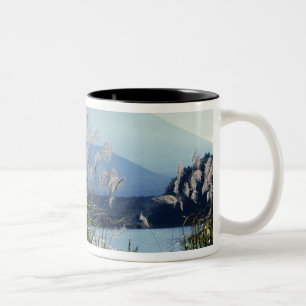 Tasse 2 Couleurs Japon, Honshu, Yamanashi Pref, Fuji-Hakone-Izu