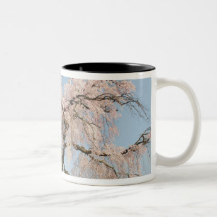 Tasse 2 Couleurs Japon, Kyoto. Cerisier pleureur sous un ciel bleu