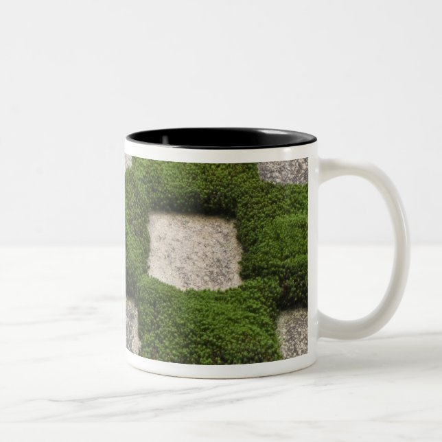Tasse 2 Couleurs Japon, Kyoto, Temple Tofukuji, Jardin (Droit)
