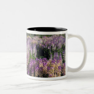 Tasse 2 Couleurs JARBIDGE WILDERNESS, NEVADA.États-Unis Lupine d'ép