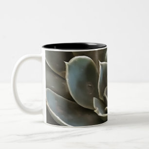 Tasse 2 Couleurs Jardin Succulent Vert Gris Tons Art Réaliste