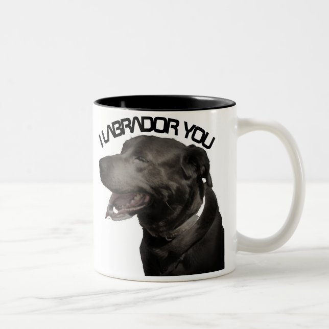 Tasse 2 Couleurs Je vous lâche (Droit)