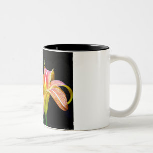 Tasse 2 Couleurs Jolis vêtements et cadeaux Tawny Daylily II