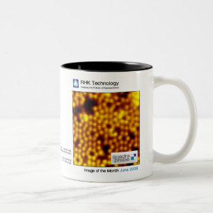 Tasse 2 Couleurs Juin 2006 - technologie de RHK : Image du mois