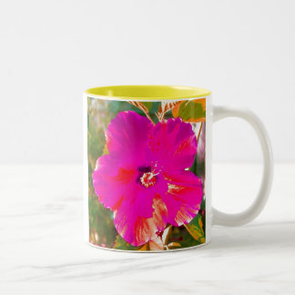 Tasse 2 Couleurs Ketmie