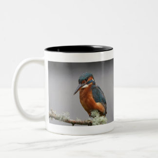Tasse 2 Couleurs Kingfisher