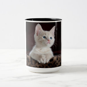 Tasse 2 Couleurs Kitten blanc vulnérable