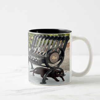 Tasse 2 Couleurs Kitty dans le parc