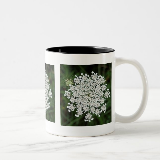Tasse 2 Couleurs La dentelle de la reine Anne (Droit)