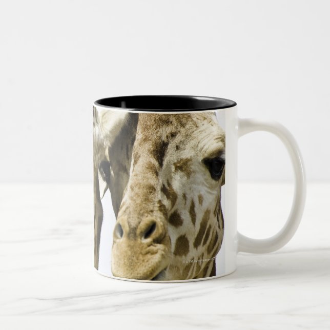 Tasse 2 Couleurs La girafe nommée est dérivée du mot arabe (Droit)