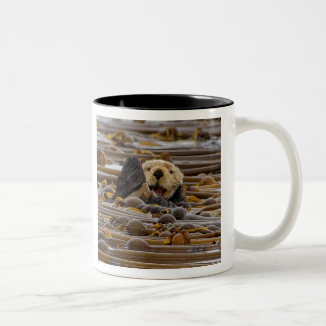 Tasse 2 Couleurs La Petite Loupe De Mer (Droit)