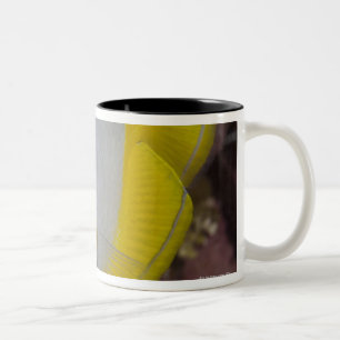 Tasse 2 Couleurs La vie sous-marine, POISSON :  Un tropical coloré
