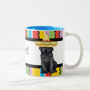 Tasse 2 Couleurs Laboratoire noir Fiesta