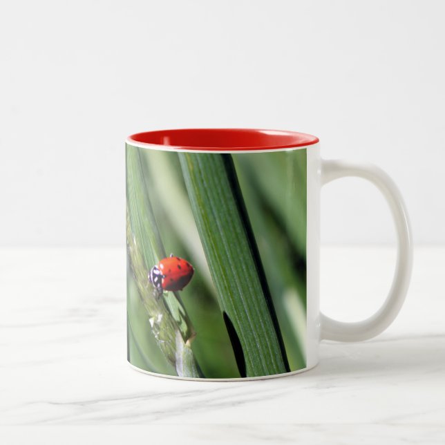 Tasse 2 Couleurs Ladybug (Coccinellidae) (Droit)