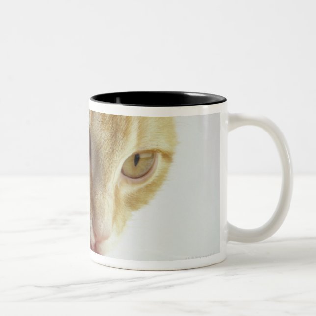 Tasse 2 Couleurs Lait boisson de chat (Droit)