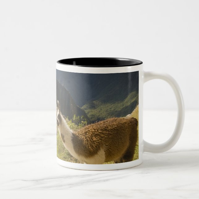 Tasse 2 Couleurs Lamas et un regard sur Machu Picchu, (Droit)