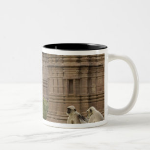 Tasse 2 Couleurs Langurs d'Hanuman ou langurs à face noire, communs
