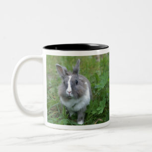 Tasse 2 Couleurs Lapin lapin