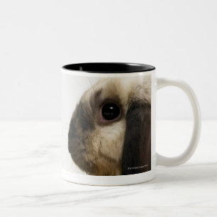 Tasse 2 Couleurs Lapin regardant le lapin