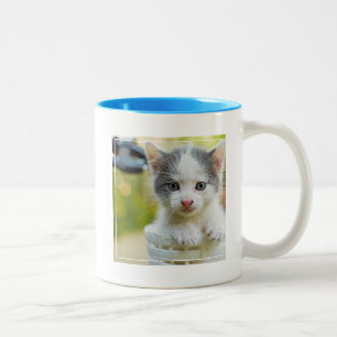 Tasse 2 Couleurs Le chaton monte un vélo