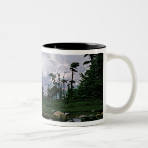 Tasse 2 Couleurs Le mont Rainier dans une montagne
