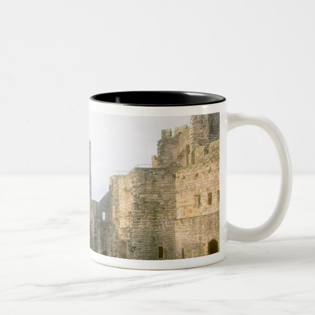 Tasse 2 Couleurs Le Pays de Galles, le château de Caernarfon, l'un  (Droit)