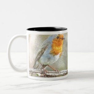 Tasse 2 Couleurs Le Robin Est Une Aquarelle Gabriel
