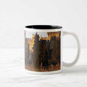 Tasse 2 Couleurs Le vignoble avec des vignes de syrah et le château