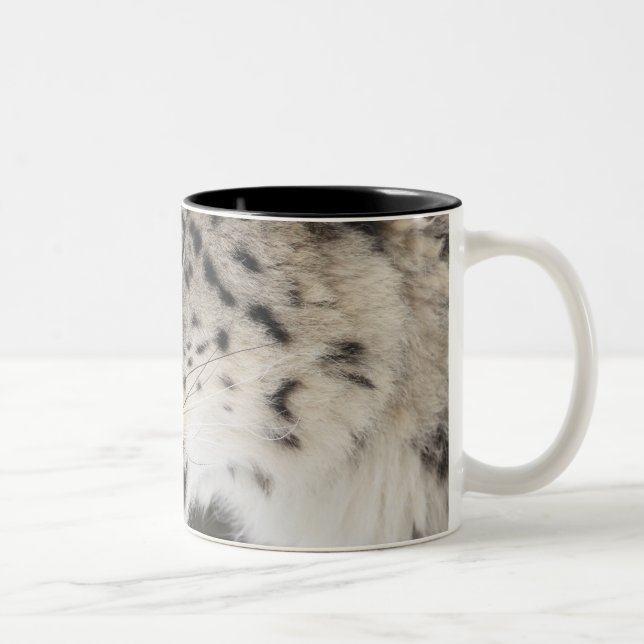 Tasse 2 Couleurs Léopard de neige (uncia d'Uncia) (Droit)