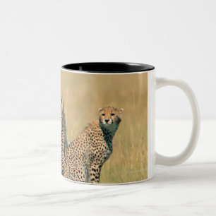 Tasse 2 Couleurs Léopards regardant loin