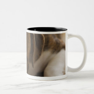 Tasse 2 Couleurs Les Etats-Unis, New Jersey, Jersey City, chiot