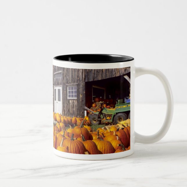 Tasse 2 Couleurs Les Etats-Unis, Vermont, Shelbourne, citrouilles (Droit)